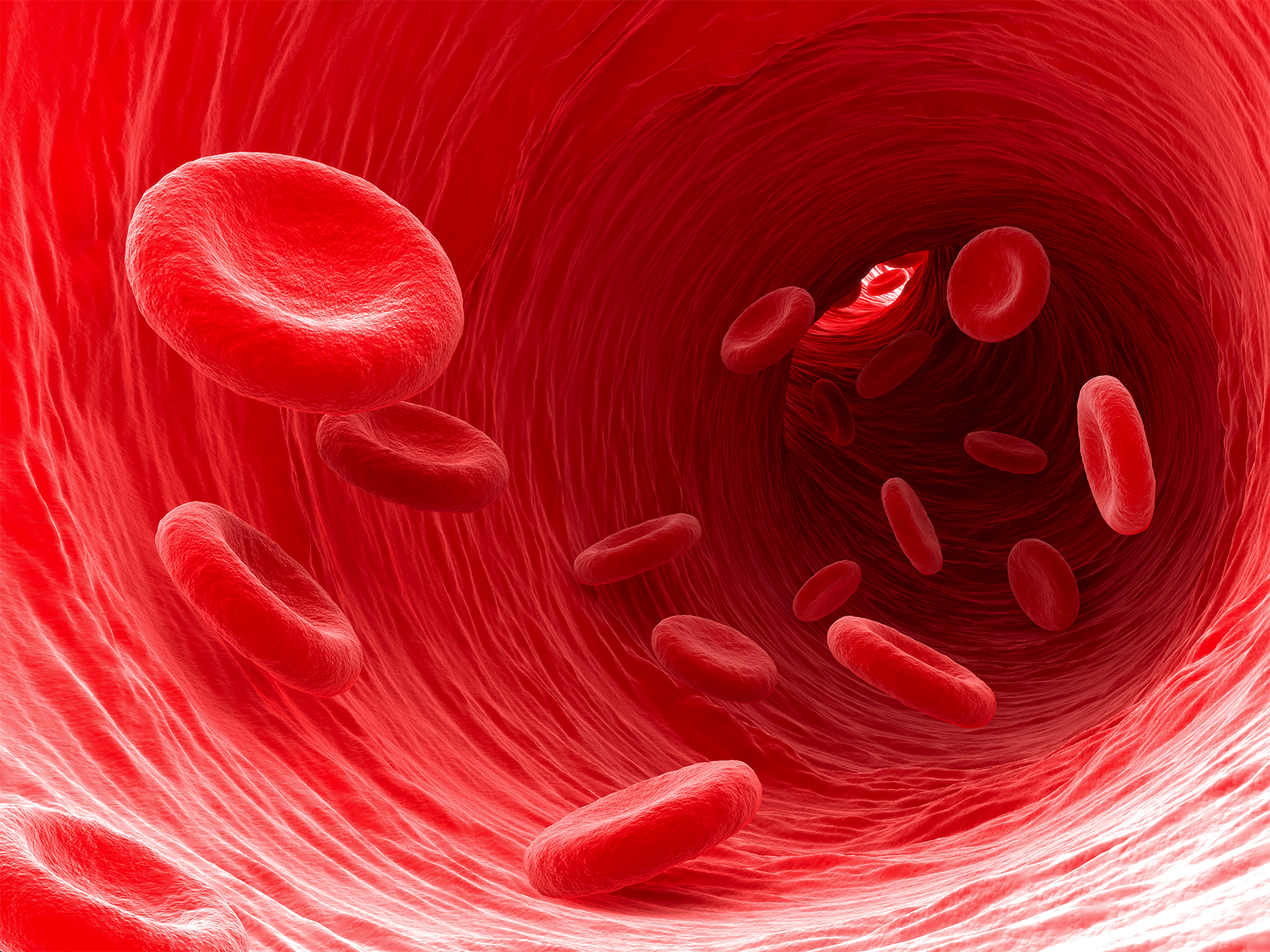 Rote Blutkörperchen fließen durch den Blutkreislauf
