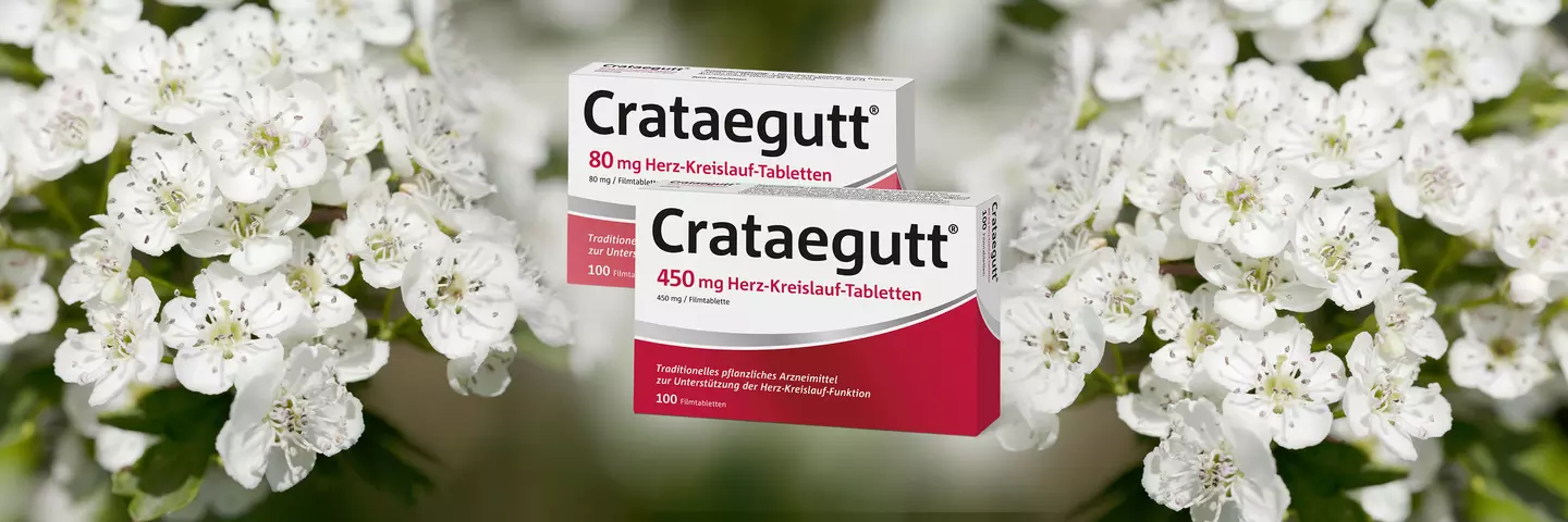 Crataegutt Herz-Kreislauf-Tabletten