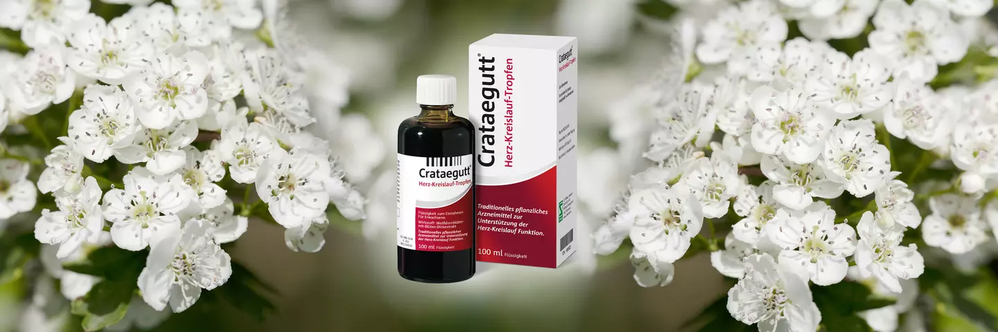 Crataegutt Herz-Kreislauf-Tropfen
