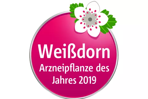 Siegel Weißdorn Arnzeipflanze des Jahres 2019